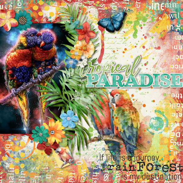 Parrots