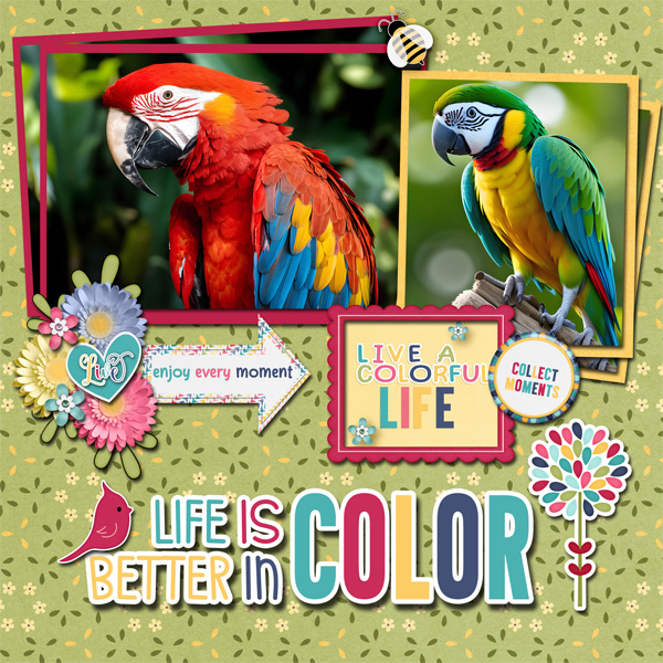 Parrots