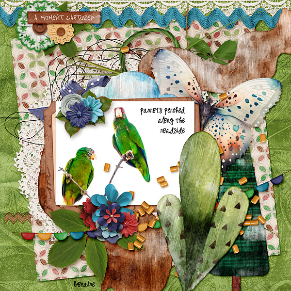 Parrots