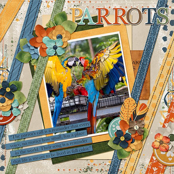 Parrots