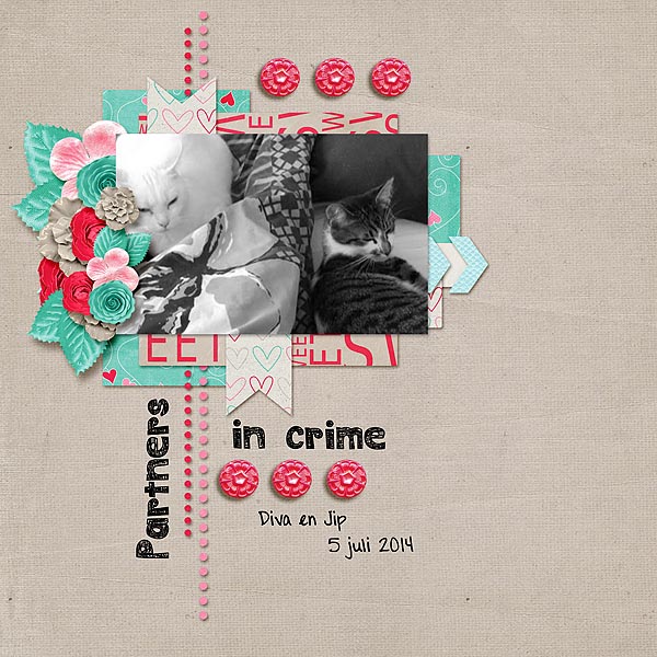 Partners In Crime