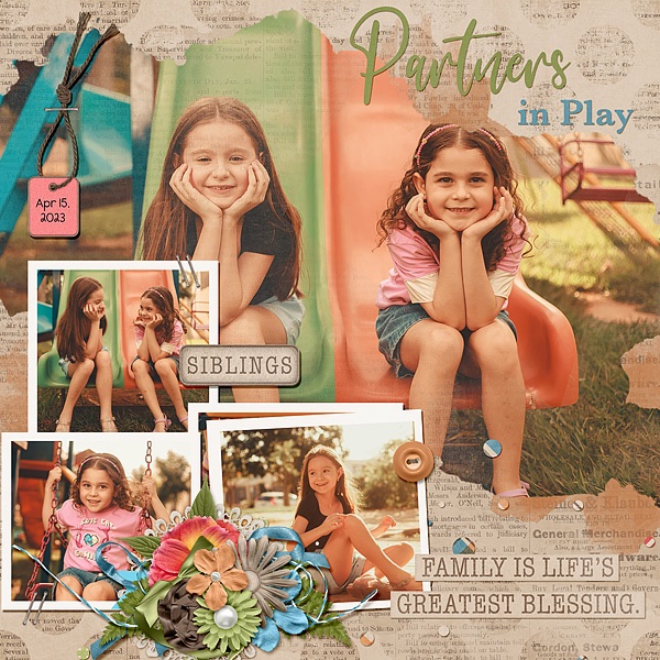 Partners in Play