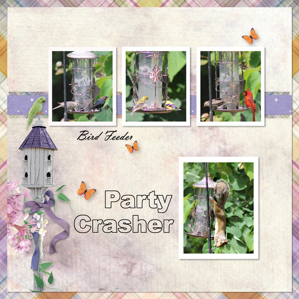 Party Crasher