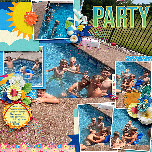 Party lhs