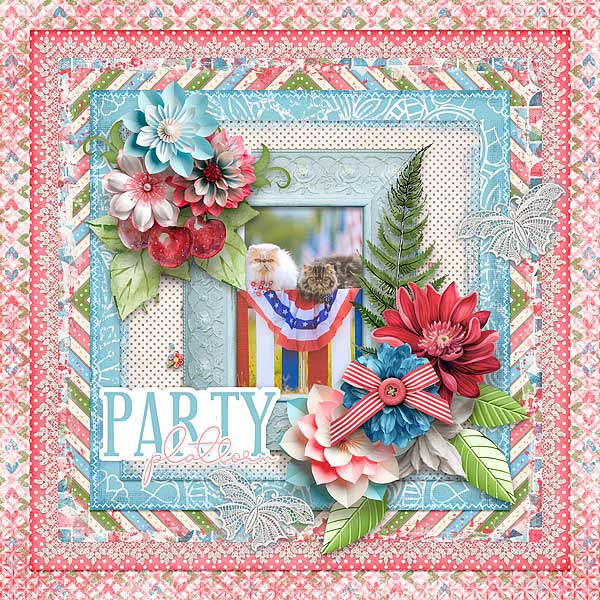 Party Platform