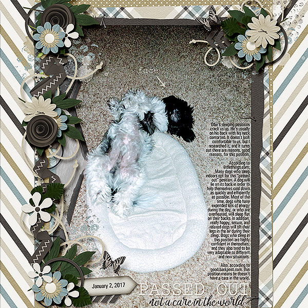 Passed Out
