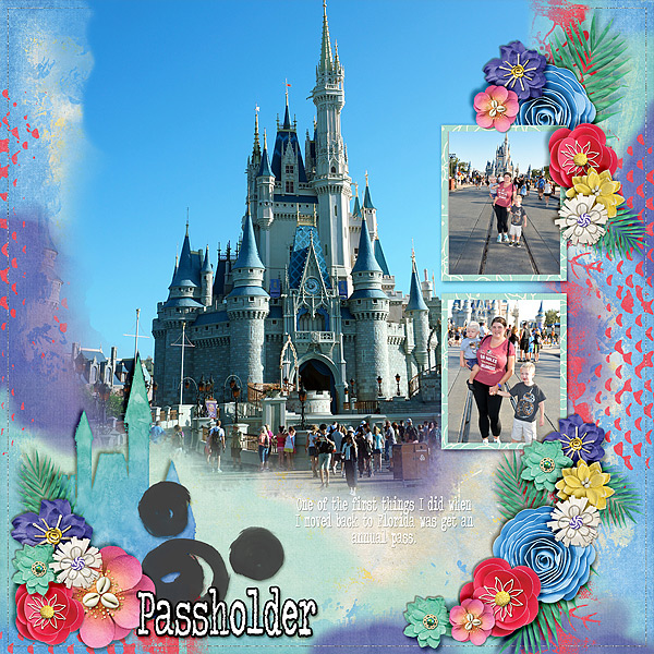 passholder-917