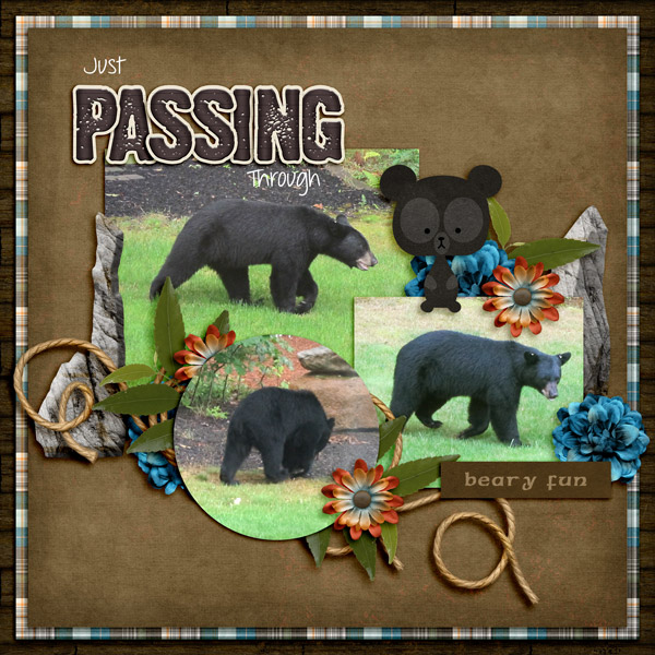Passing Through