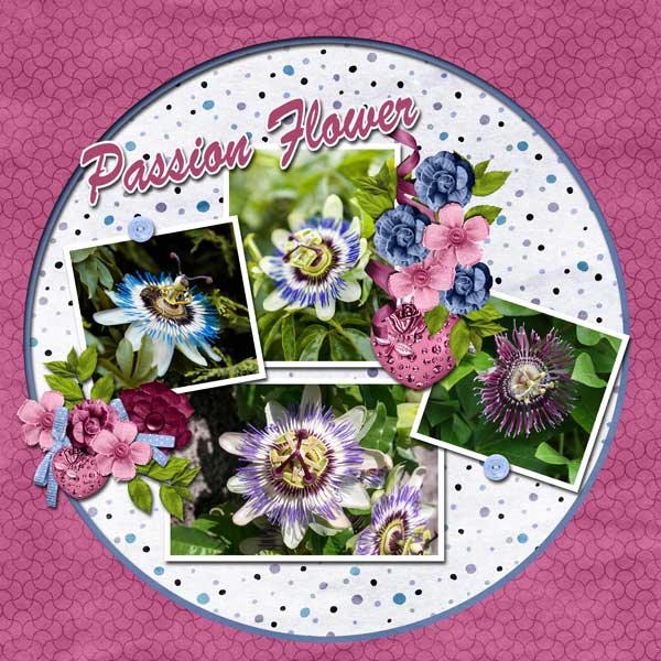 passion-flower-scrapbook-cr.jpg