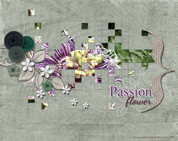 Passion flower