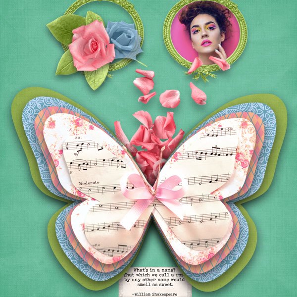 Pastele Rose