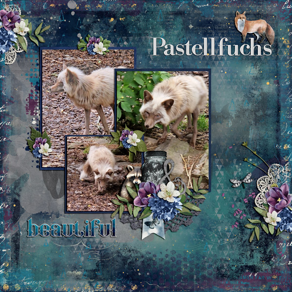 Pastellfuchs
