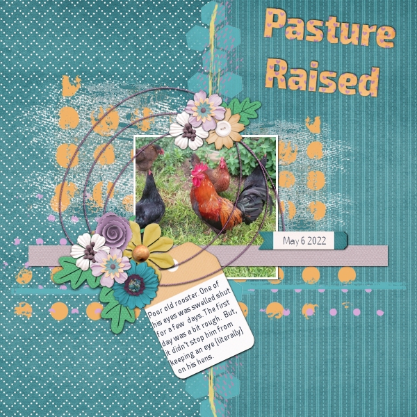 Pasture Raised