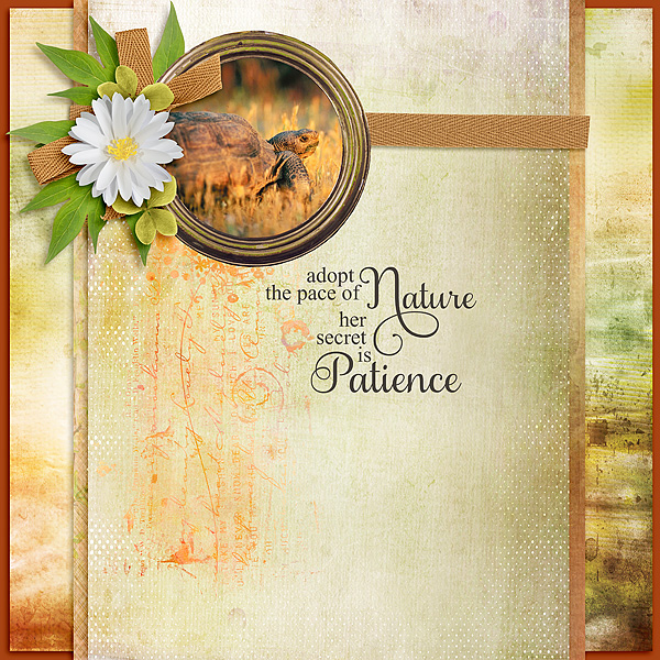 Patience July UIA Challenge