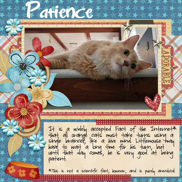 Patience