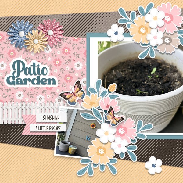Patio Garden