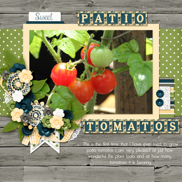 Patio Tomatoes