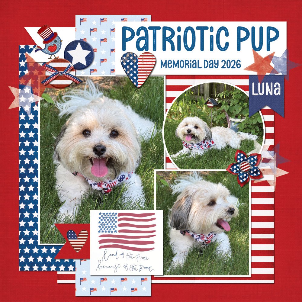 Patriotic Luna 05-25-26