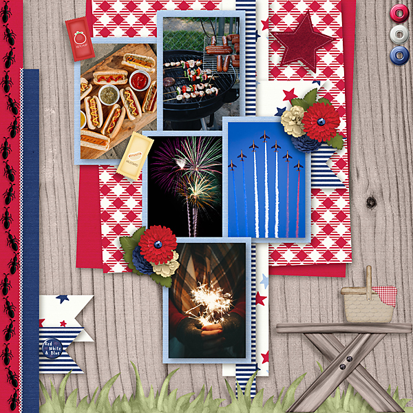 Patriotic Picnic