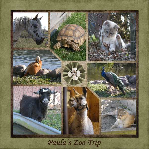 Paula's zoo trip