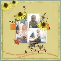 PauliebugBrem_2x2