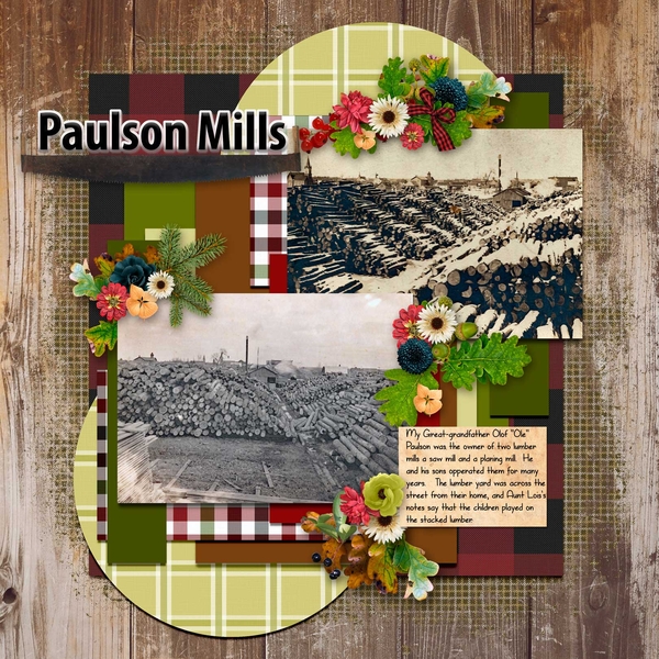 Paulson saw mills