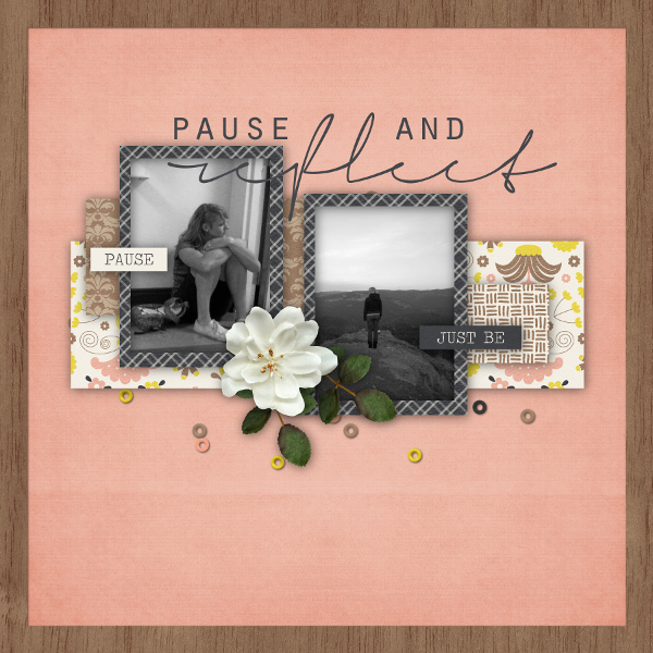 Pause and Reflect