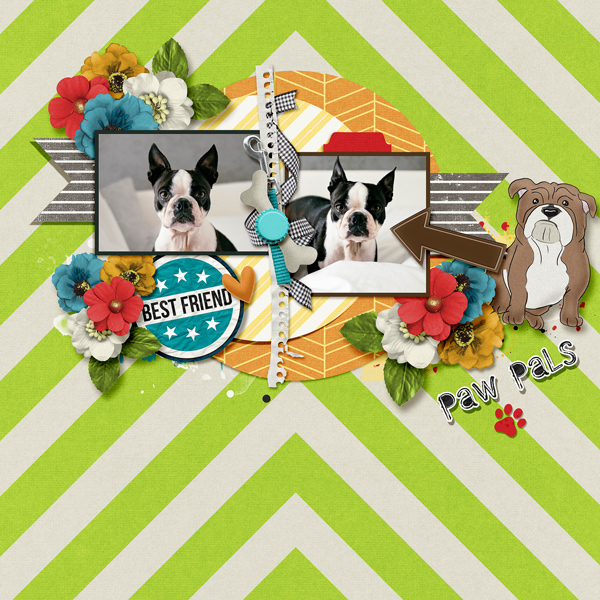 Paw Pals