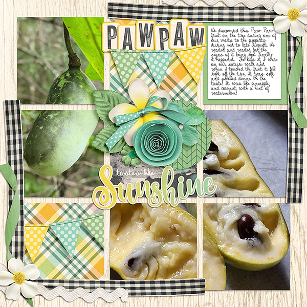Paw Paw Fruit