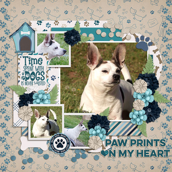 Paw Prints on my Heart