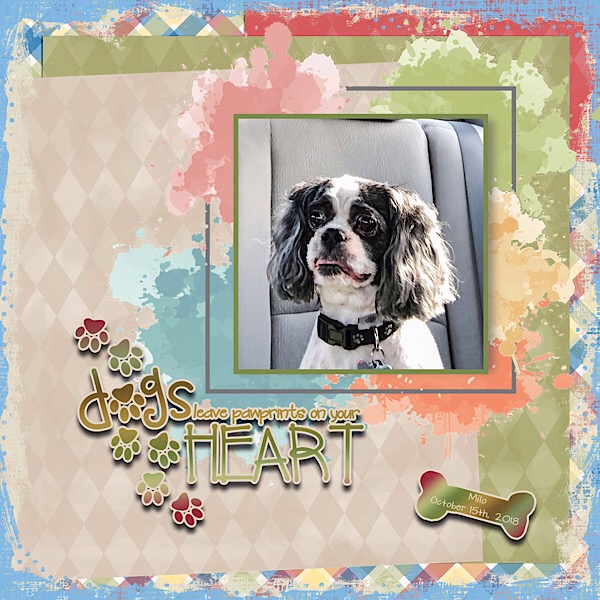 Paw prints on Your Heart