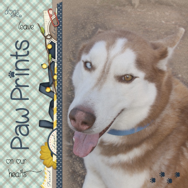 Paw Prints