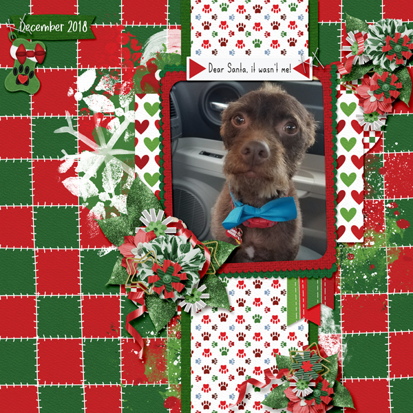 Pawliday