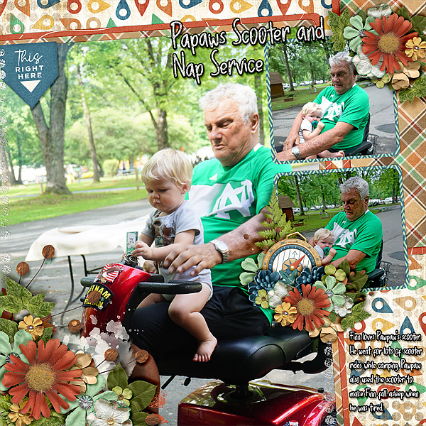 pawpaw-scooter-service-vacay