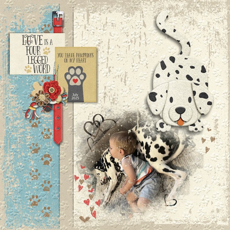 Pawprints on Heart.jpg