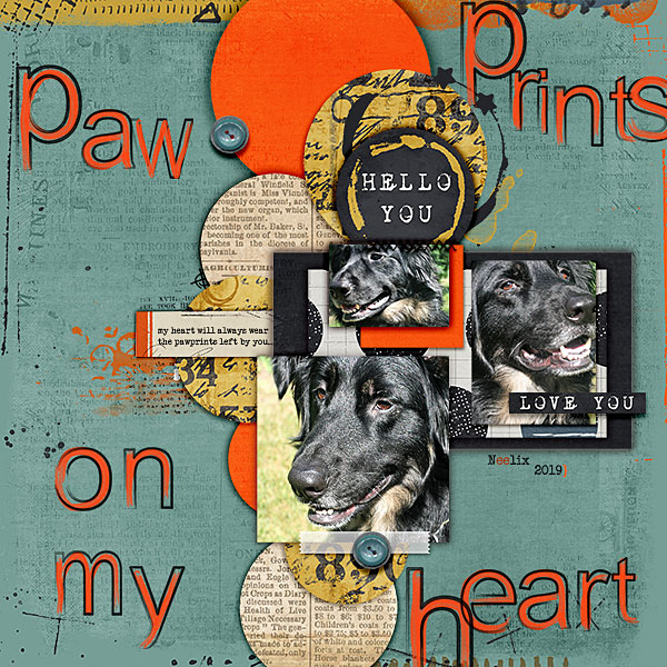 Pawprints on my heart