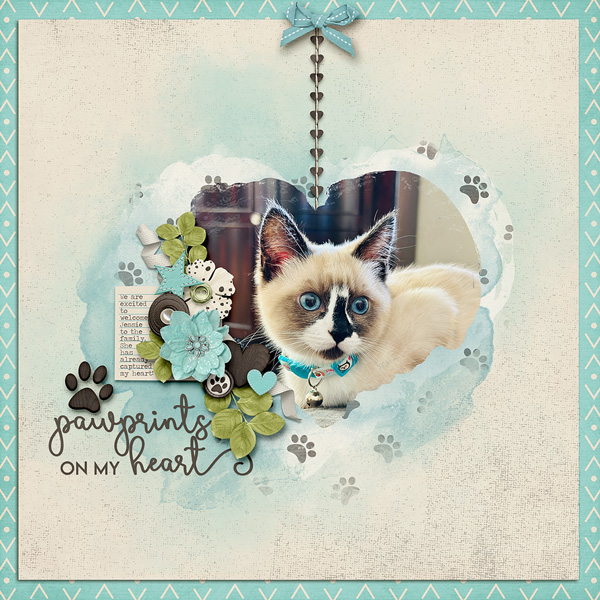 Pawprints on my heart
