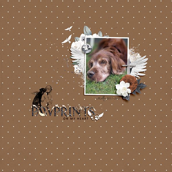 Pawprints on my heart