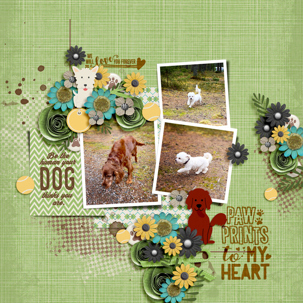 Pawprints to my heart