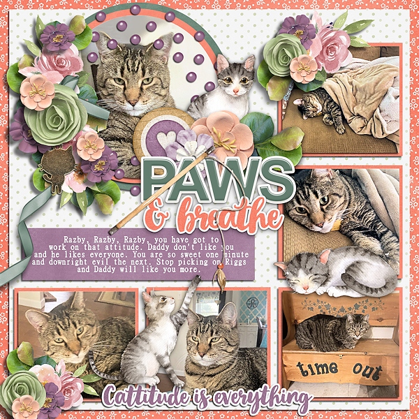 Paws and Breathe