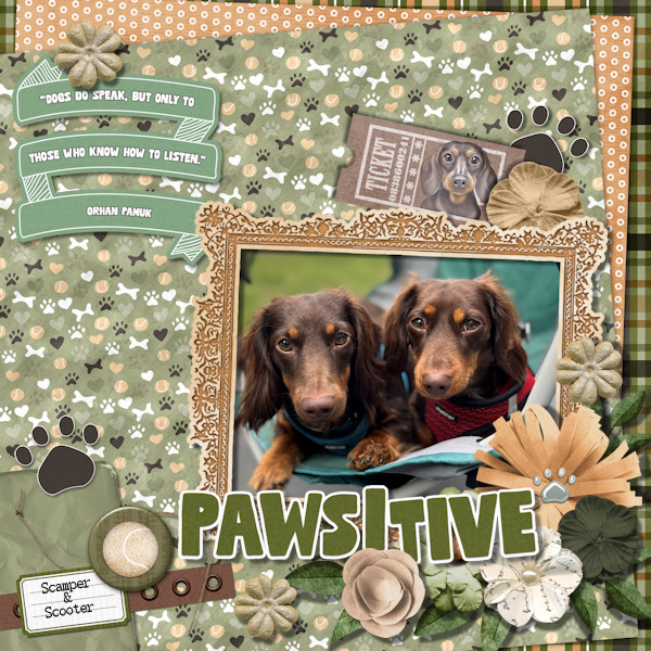Pawsitive
