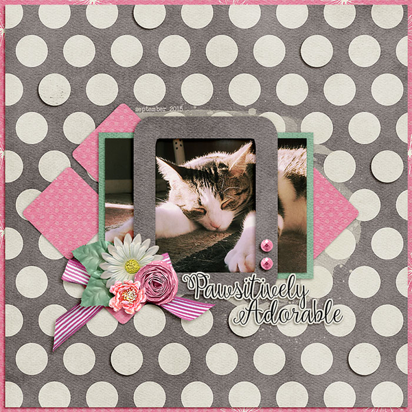 Pawsitively Adorable