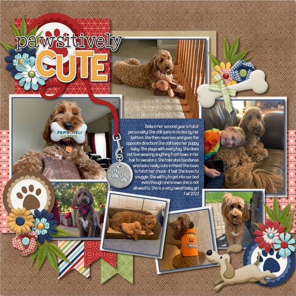 Pawsitively Cute 2023