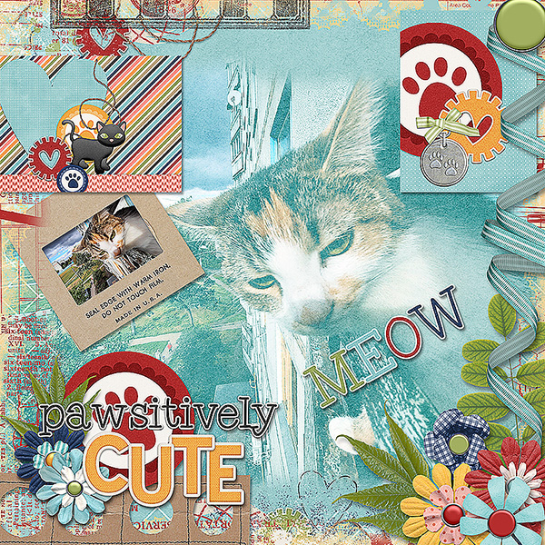 Pawsitively Cute