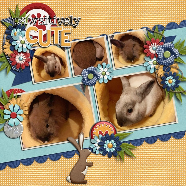 Pawsitively Cute