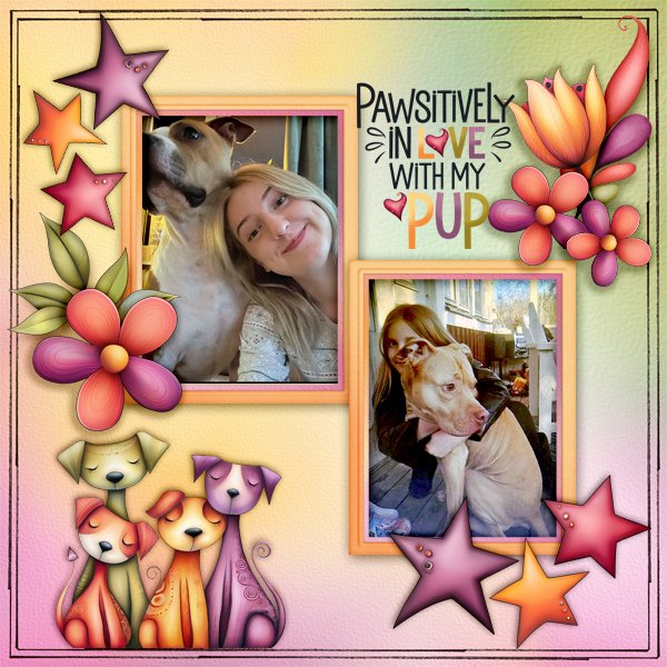 Pawsitively-in-love.jpg