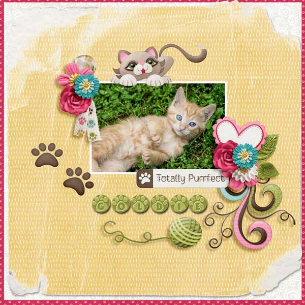 Pawsitively-Purrfect-kristm