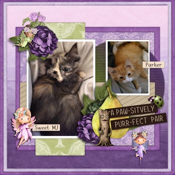 Pawsitively Purrfect