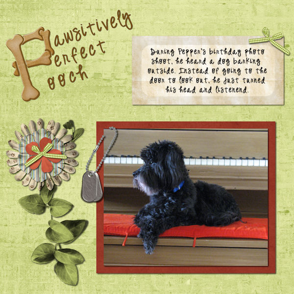 Pawsitivly Perfect Pooch