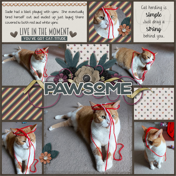 Pawsome